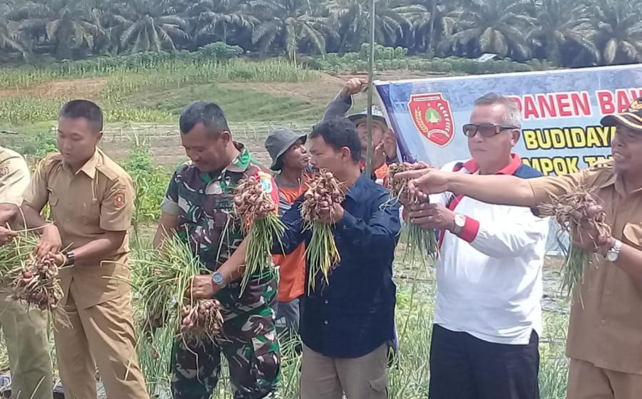 TNI