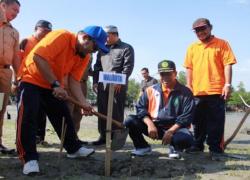 Walikota Bengkulu H. Helmi Hasan saat penanaman mangrove kerjasama CSR Pertamina dan Universitas Muhammadiyah Bengkulu (UMB)