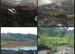dampak pertambangan batu bara di Benteng