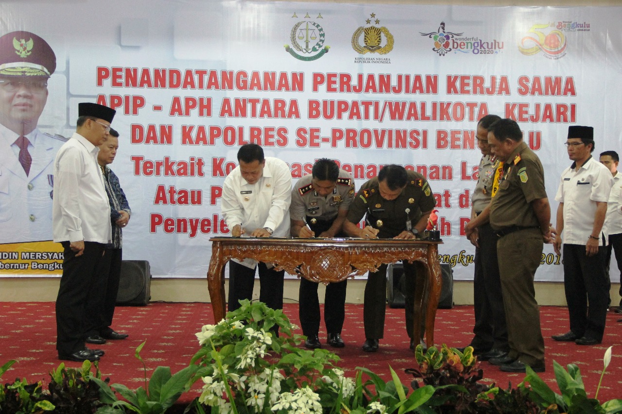 APIP – APH Kabupaten-Kota Bersinergi