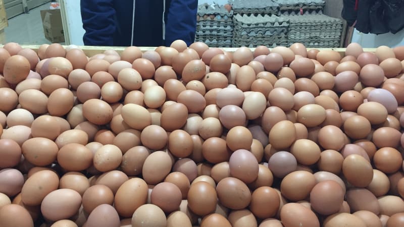 Harga Telur Naik