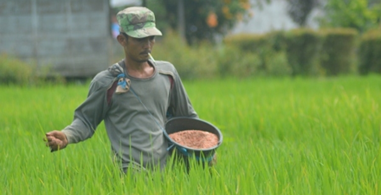 Terbaik Tingkat Provinsi Bengkulu Desa Rimbo Recap Raih Penghargaan BUMDes