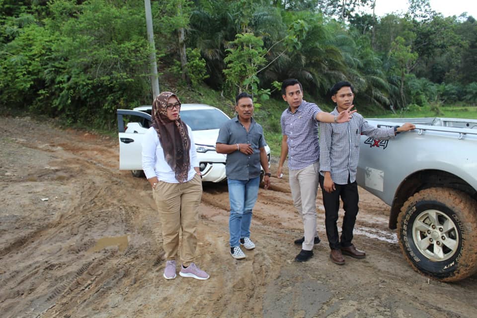 Advertorial