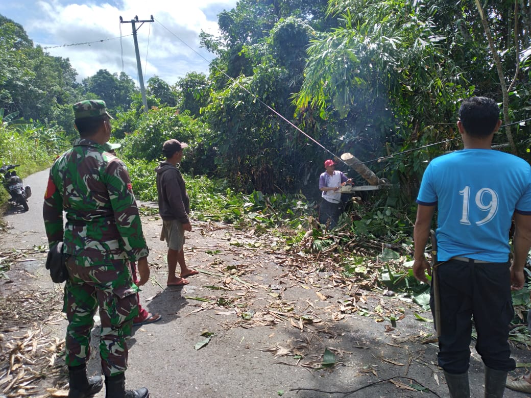 TNI