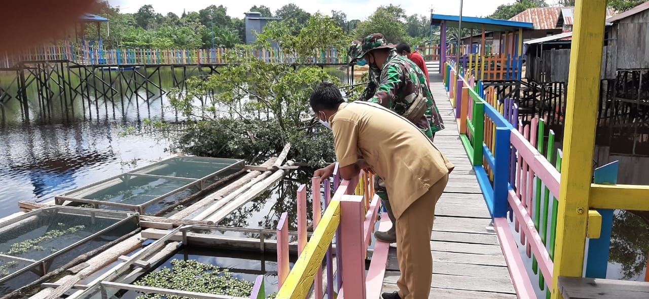 TNI