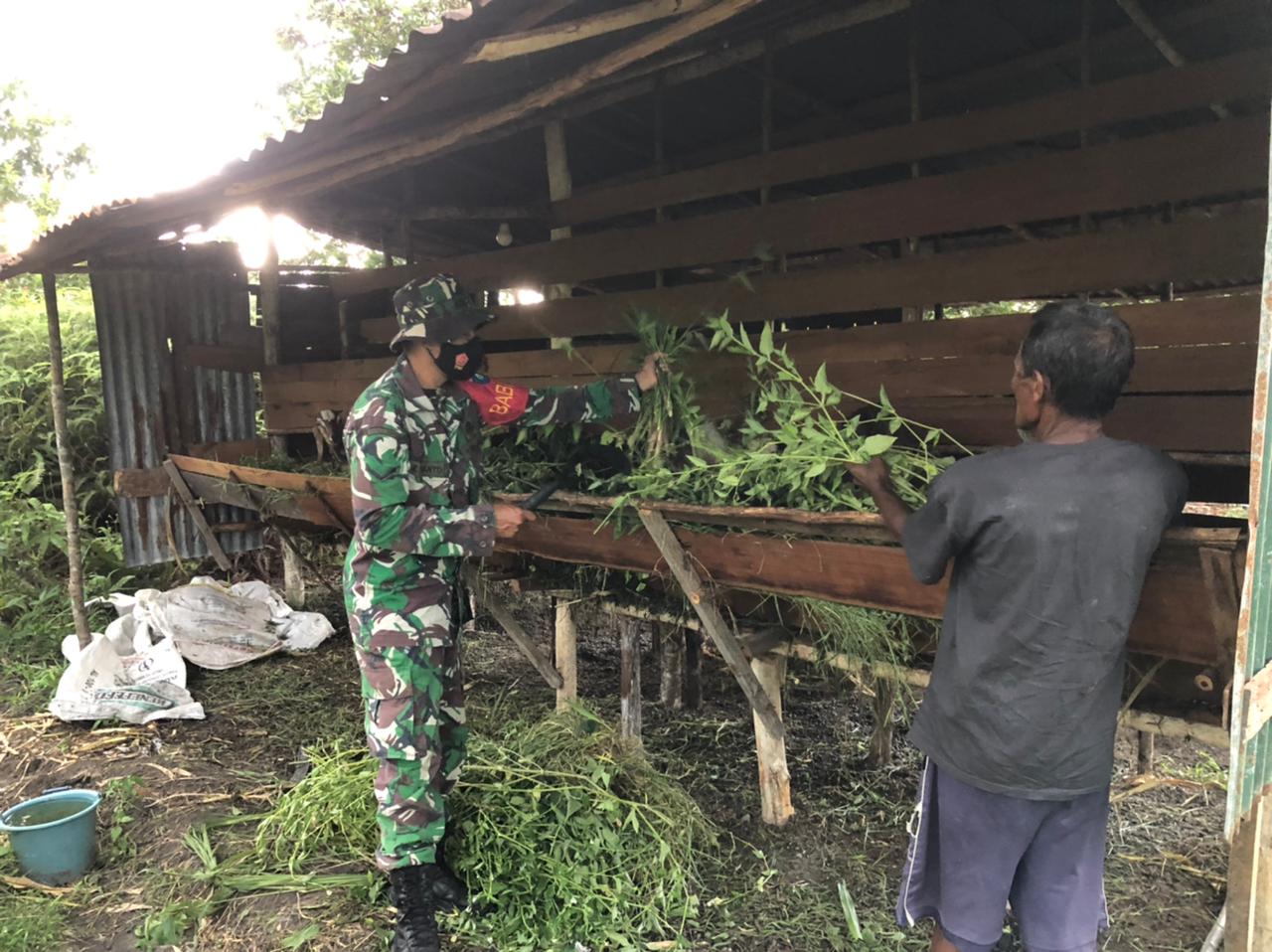 TNI