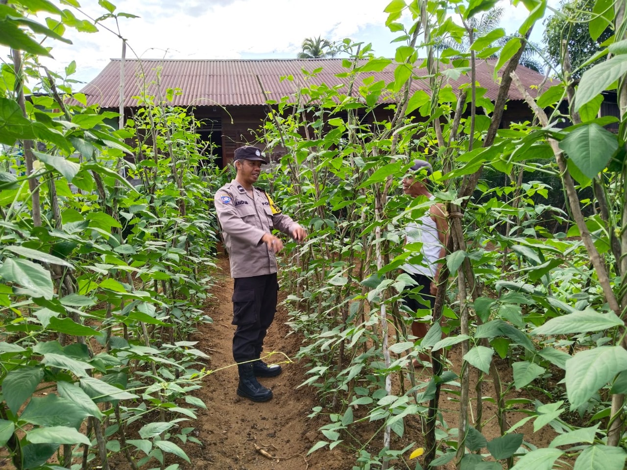 Bhabinkamtibmas Polsek Ketahun Sambang Warga Tanaman Pangan Lestari di Desa Giri Kencana 