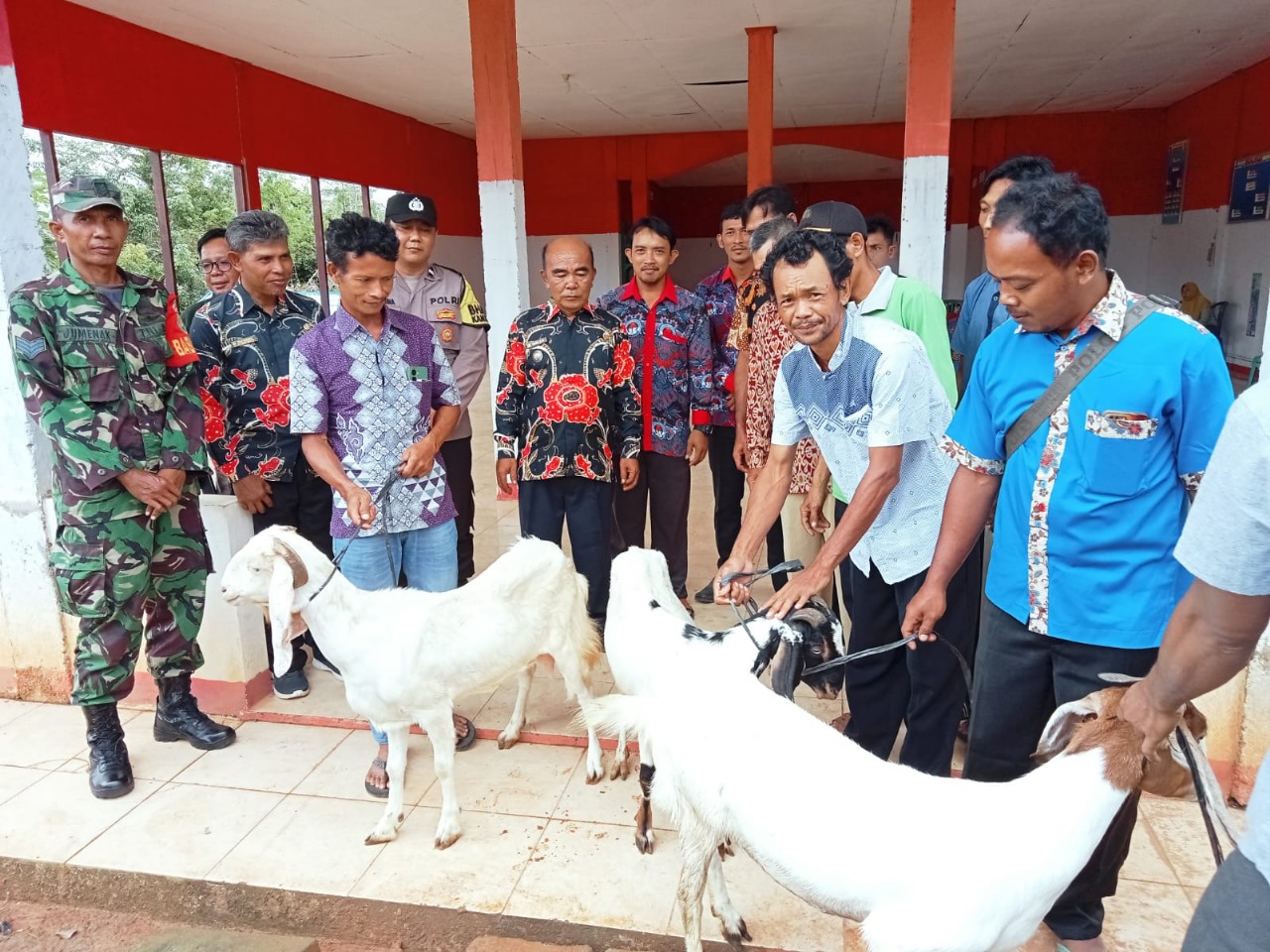 Bhabinkamtibmas Polsek Ketahun Hadiri Penyerahan Ternak Kambing