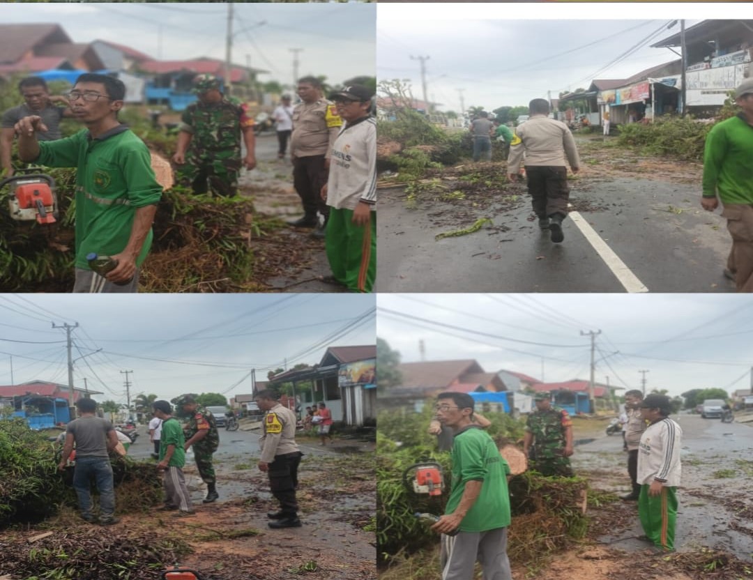 Personel Polsek Teluk Segara Lakukan Peengamanan dan Pembersihan Pohon Tumbang 