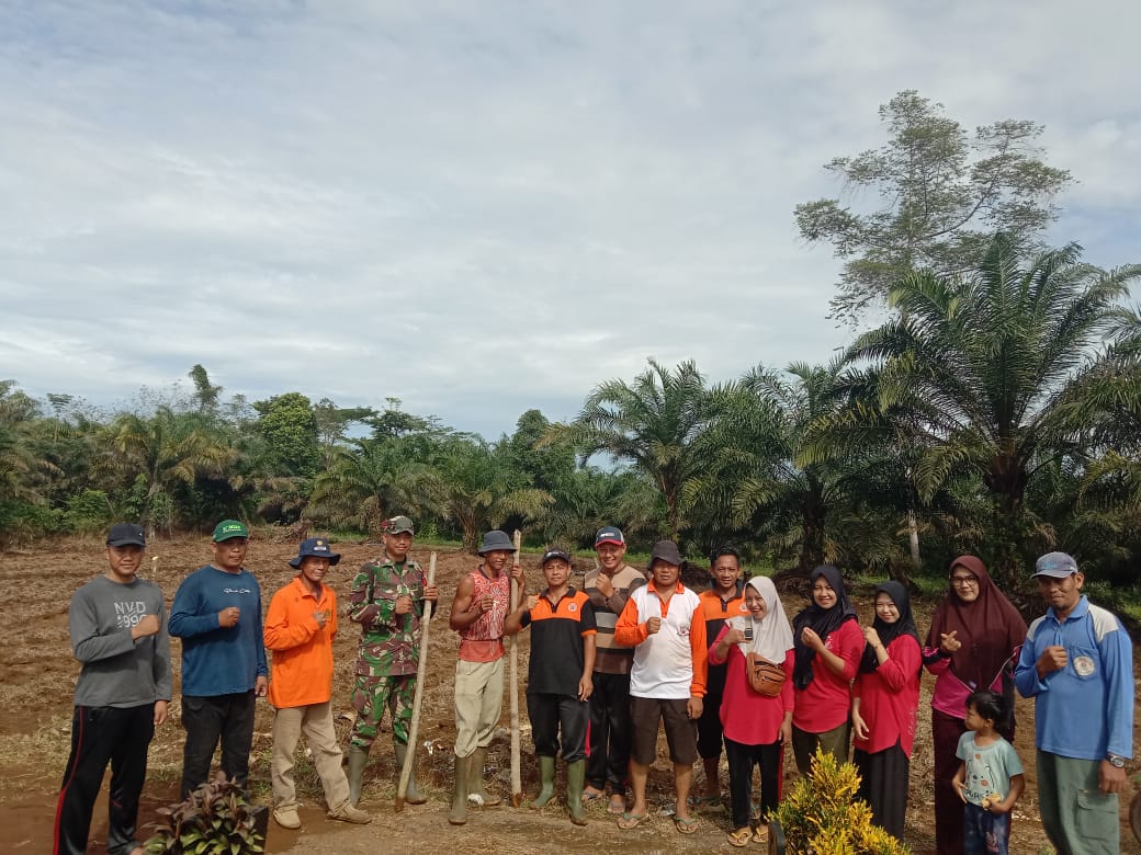 Wujudkan Ketahanan Pangan Pemdes Tambak Rejo Fokus Tanam Jagung