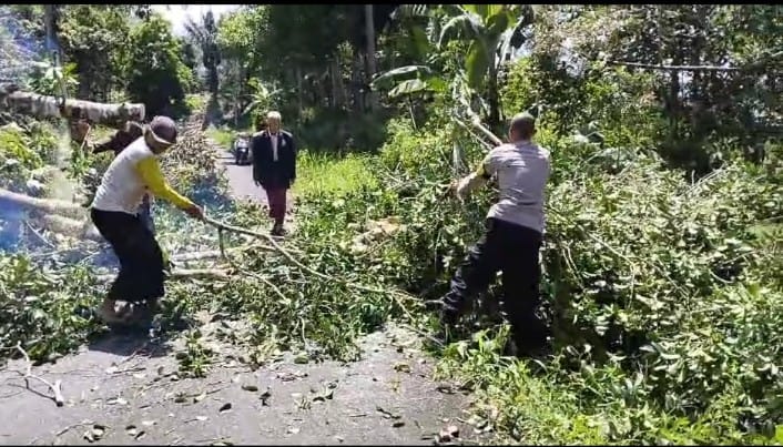 Bersama Warga, Bhabinkamtibmas Polsek Lebong Utara Bersihkan Pohon Tumbang di Jalan Raya