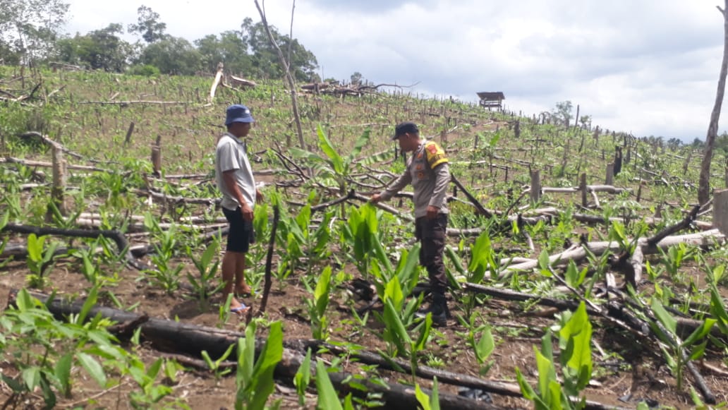 Bhabinkamtibmas Polsek Kotapadang Sosialisasikan Ketahanan Pangan dan Keamanan Lingkungan