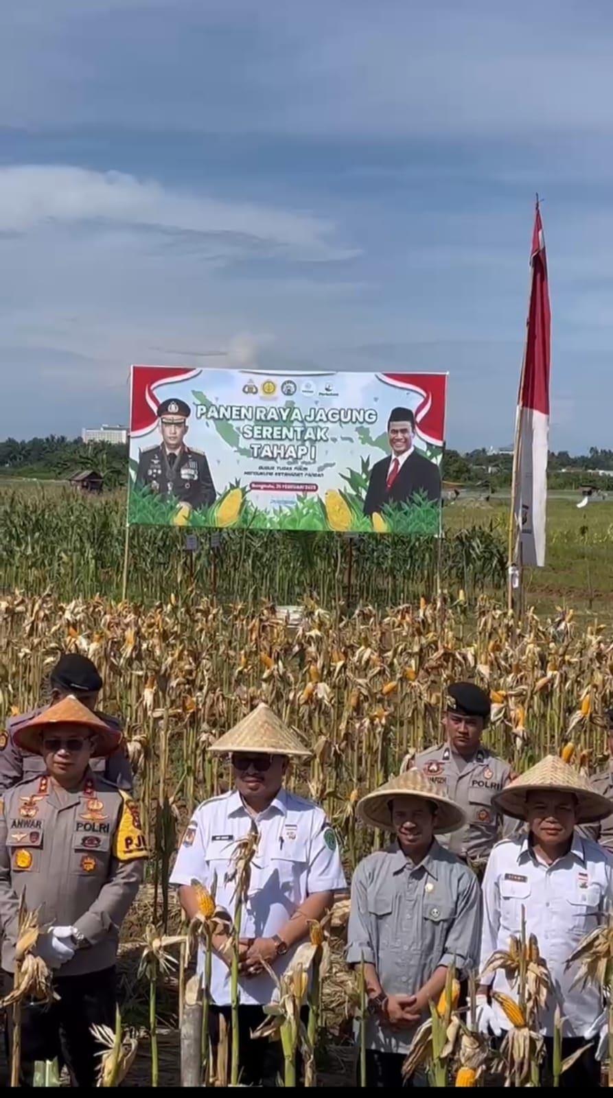Panen Raya Jagung Serentak di Bengkulu, Dukung Swasembada Pangan 2025