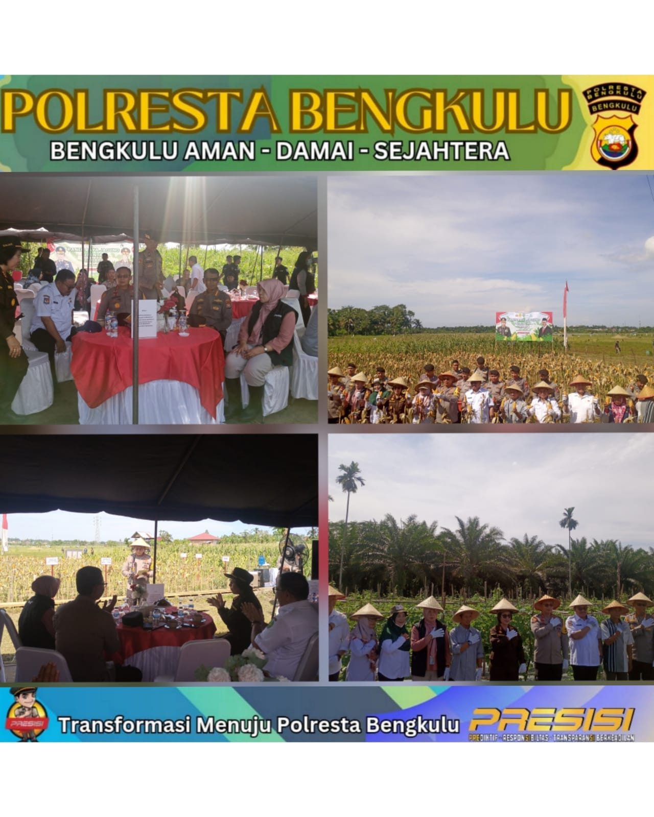 Panen Raya Jagung Serentak Tahap 1 di Wilayah Polsek Teluk Segara Berlangsung Lancar