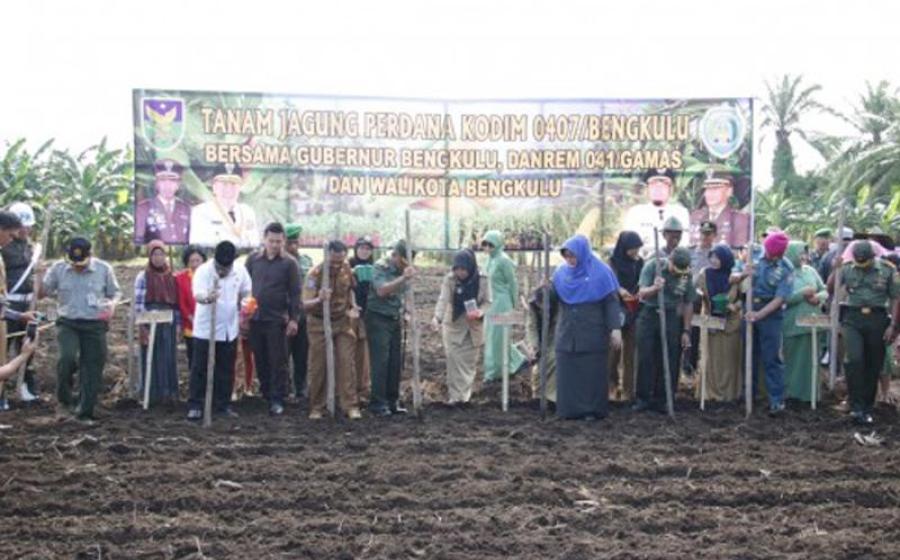 Walikota Bengkulu saat Gerakan Tanam Jagung Hibrida bersama pemerintah provinsi, Danrem, Dandim, Lanal, Camat dan Lurah serta petani di Kelurahan Kandang Mas, Kecamatan Kampung Melayu.