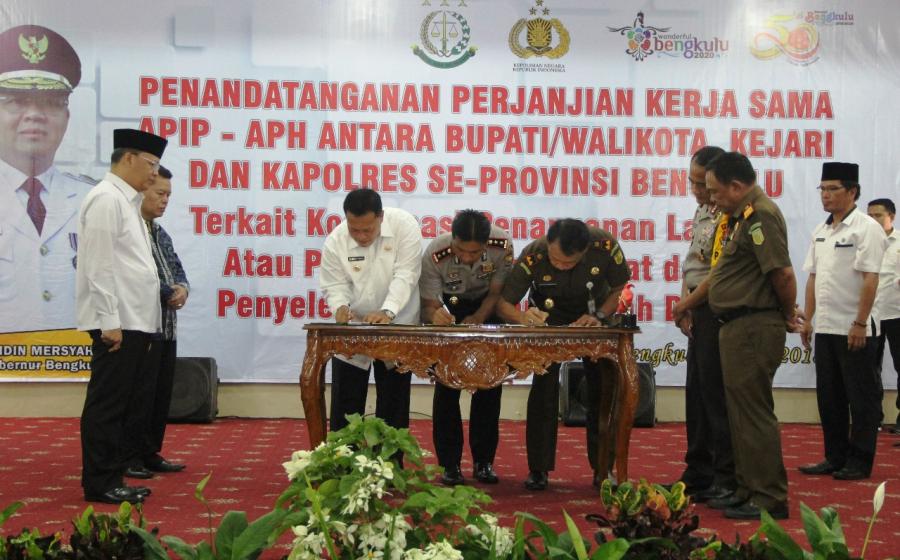 APIP – APH Kabupaten-Kota Bersinergi