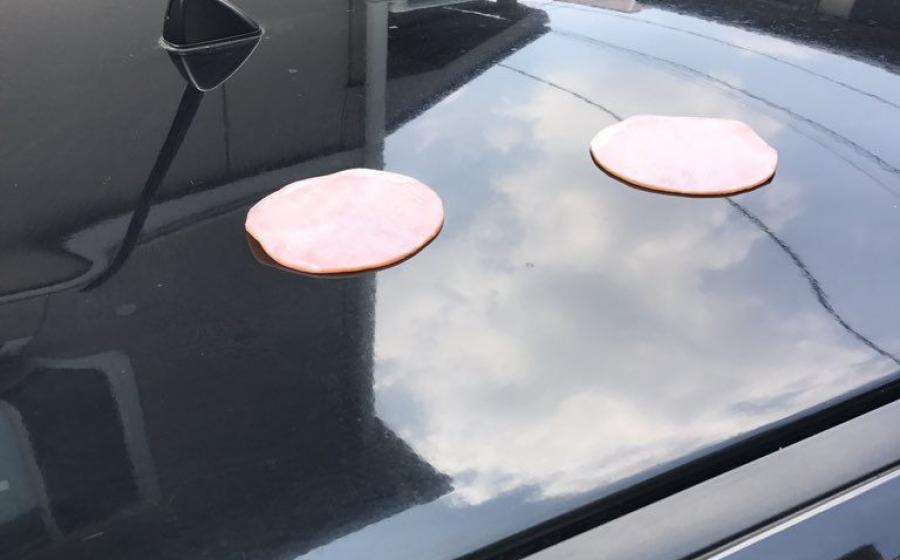 Orang-orang Memasak di Atap Mobil