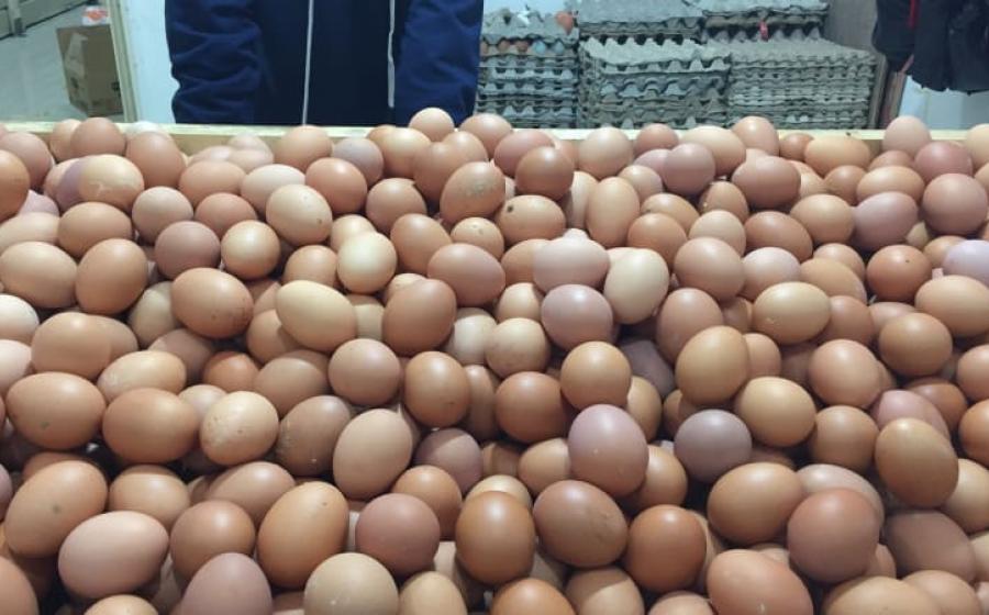 Harga Telur Naik