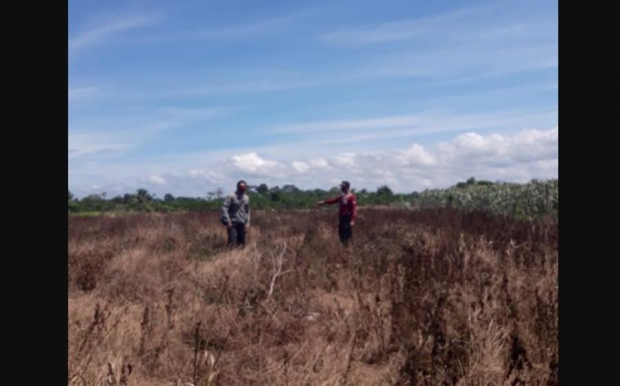 kabupaten