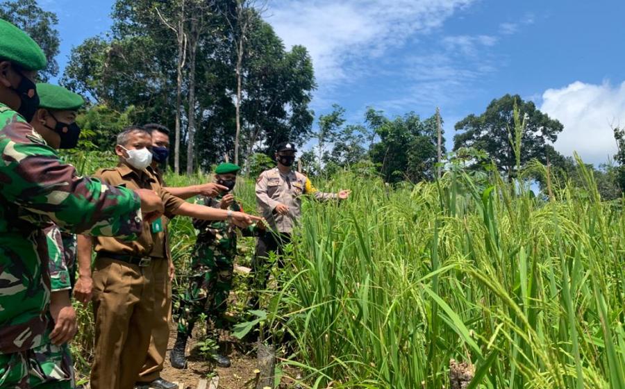 TNI