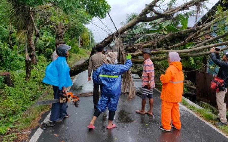 PEMKOT BENGKULU