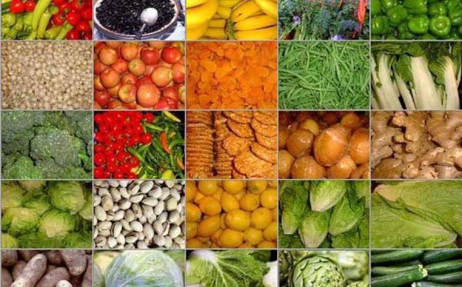 Hortikultura, bengkulu