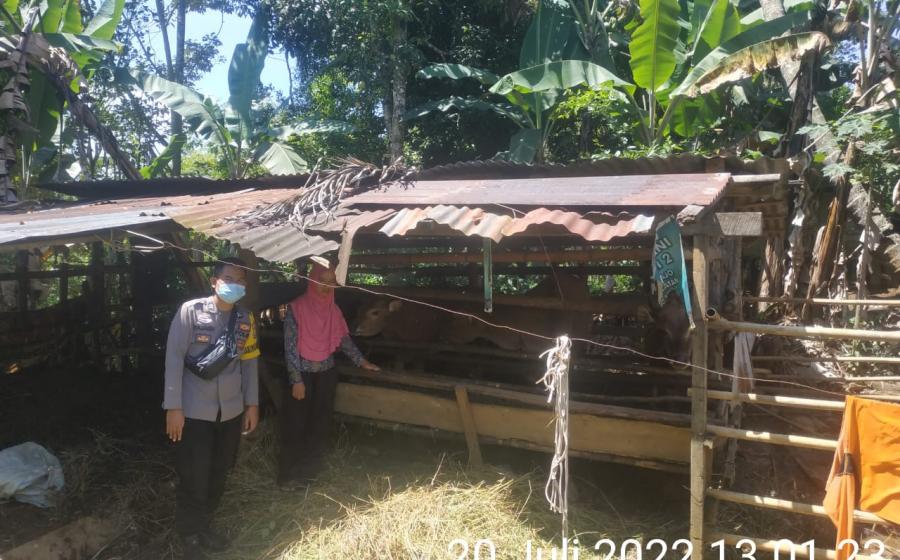  Polres Lebong Binluh dan Data Warga Miliki Hewan Ternak