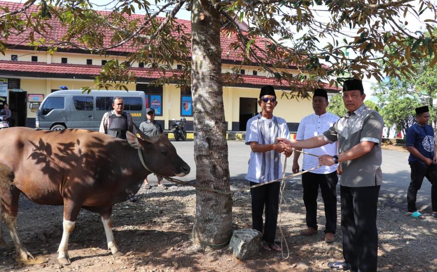 Iduladha, Kapolres Lebong, PJU dan Kapolsek Jajaran Berkurban Sapi, Bagikan Ratusan Kupon Kepada Masyarakat