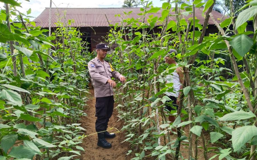 Bhabinkamtibmas Polsek Ketahun Sambang Warga Tanaman Pangan Lestari di Desa Giri Kencana 