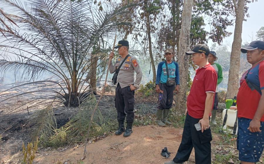 Polisi Bergerak Cepat Datangi TKP Kebakaran di Perkebunan