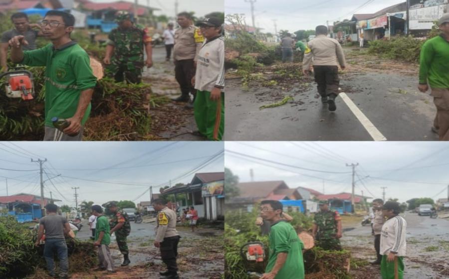 Personel Polsek Teluk Segara Lakukan Peengamanan dan Pembersihan Pohon Tumbang 