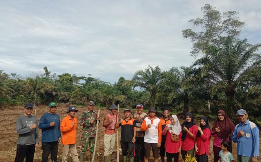 Wujudkan Ketahanan Pangan Pemdes Tambak Rejo Fokus Tanam Jagung