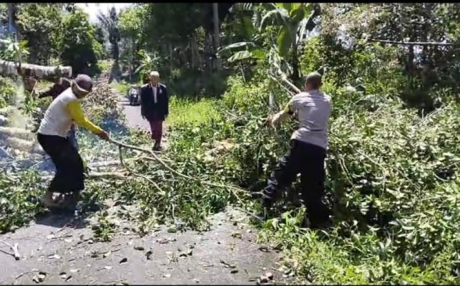 Bersama Warga, Bhabinkamtibmas Polsek Lebong Utara Bersihkan Pohon Tumbang di Jalan Raya