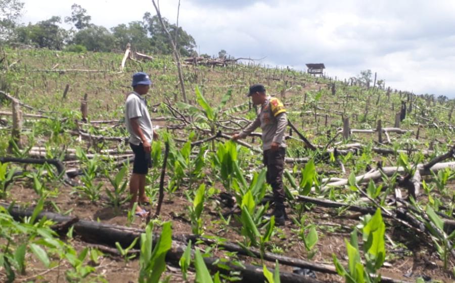 Bhabinkamtibmas Polsek Kotapadang Sosialisasikan Ketahanan Pangan dan Keamanan Lingkungan